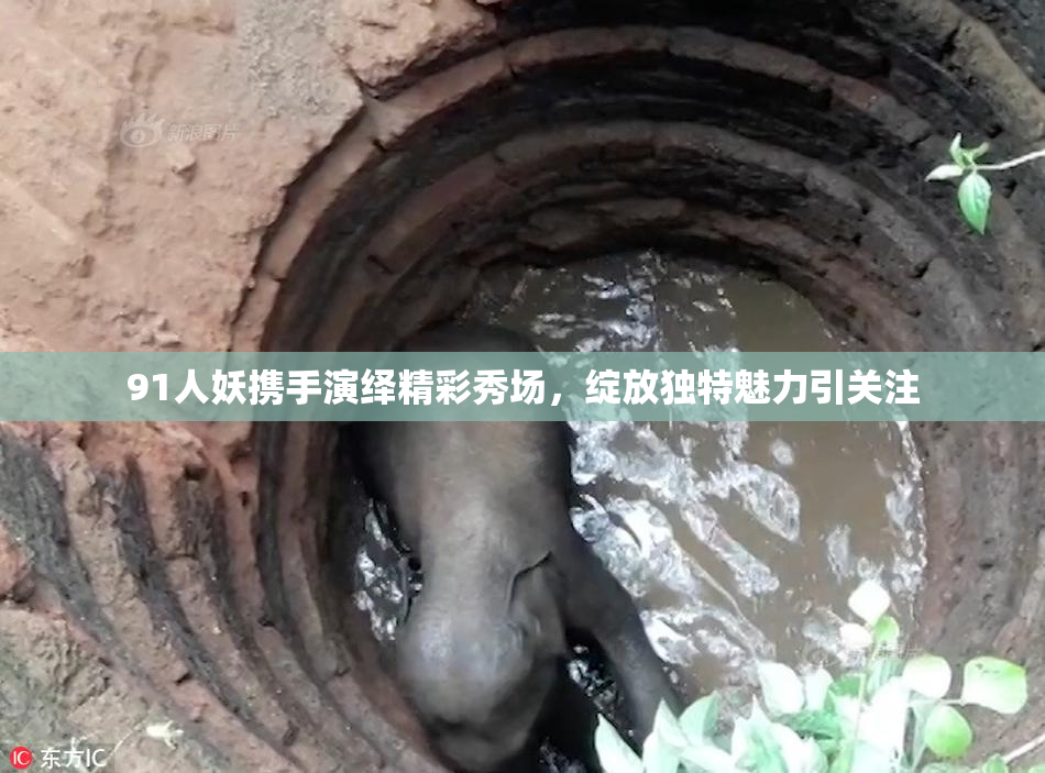 91人妖携手演绎精彩秀场，绽放独特魅力引关注
