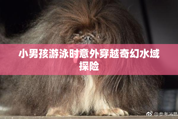 小男孩游泳时意外穿越奇幻水域探险