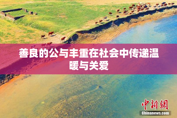 善良的公与丰重在社会中传递温暖与关爱