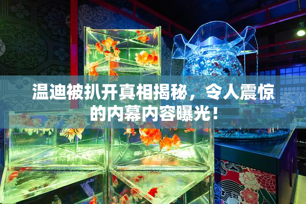 温迪被扒开真相揭秘，令人震惊的内幕内容曝光！