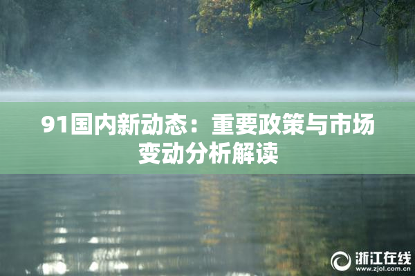 91国内新动态：重要政策与市场变动分析解读