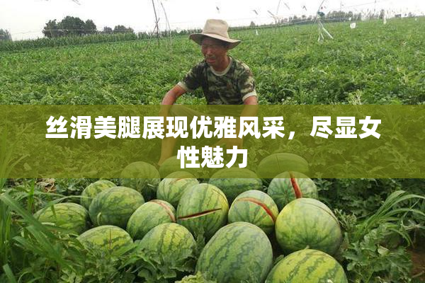 丝滑美腿展现优雅风采，尽显女性魅力