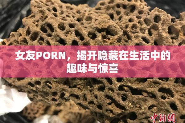 女友PORN，揭开隐藏在生活中的趣味与惊喜