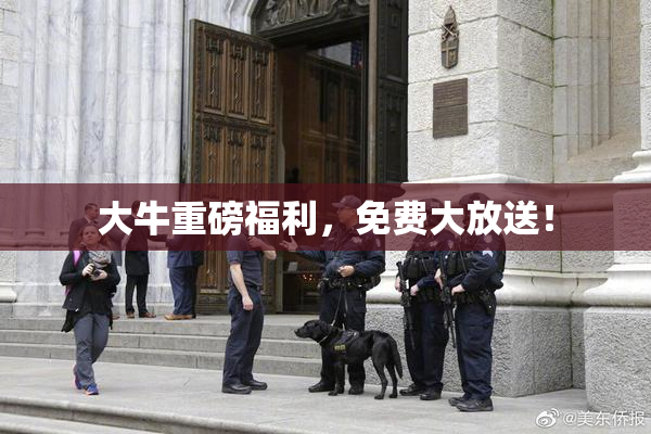 大牛重磅福利，免费大放送！