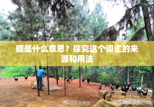撅是什么意思？探究这个词汇的来源和用法