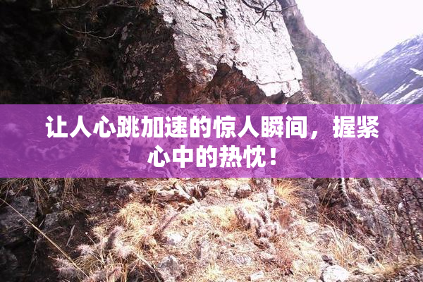 让人心跳加速的惊人瞬间，握紧心中的热忱！
