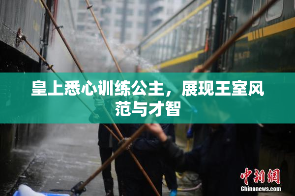 皇上悉心训练公主，展现王室风范与才智