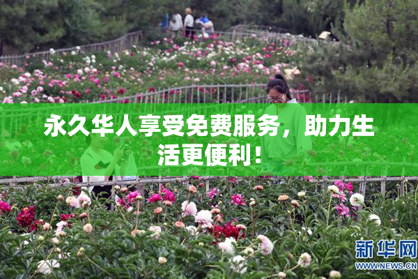 永久华人享受免费服务，助力生活更便利！
