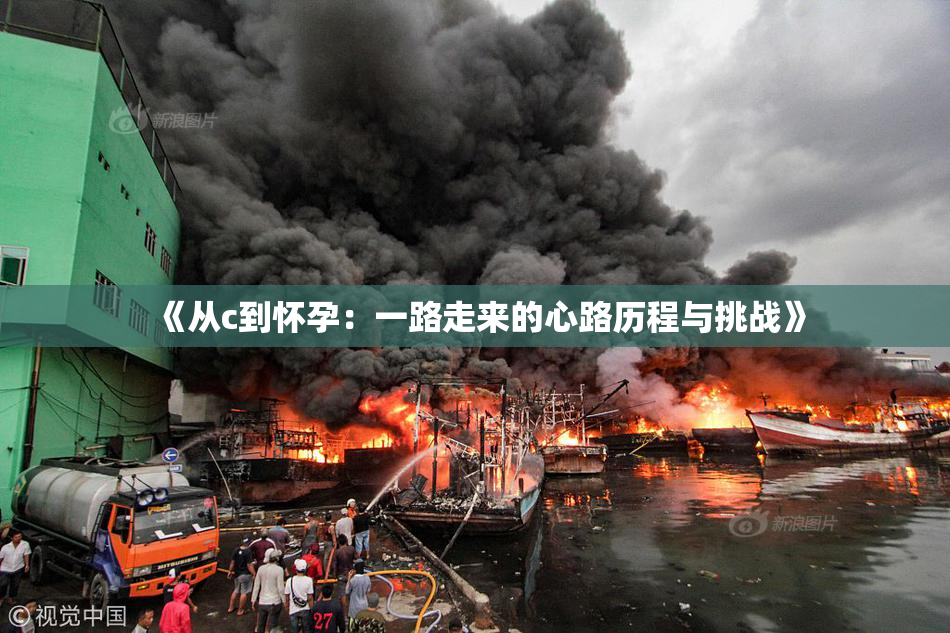 《从c到怀孕：一路走来的心路历程与挑战》