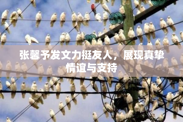 张馨予发文力挺友人，展现真挚情谊与支持