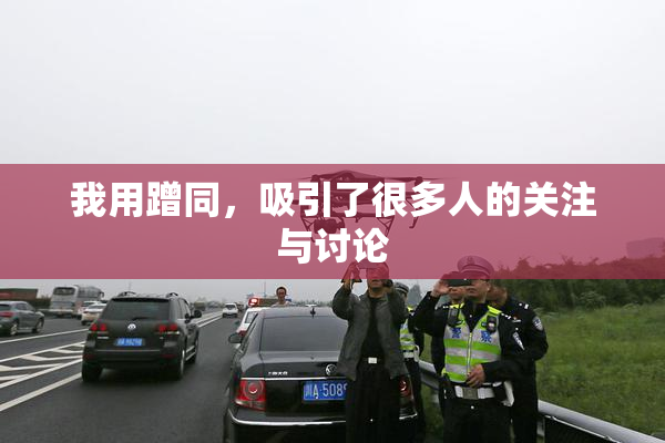 我用蹭同，吸引了很多人的关注与讨论