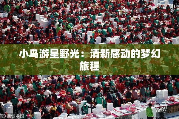 小鸟游星野光：清新感动的梦幻旅程