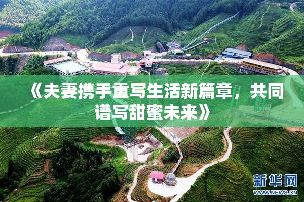 《夫妻携手重写生活新篇章，共同谱写甜蜜未来》