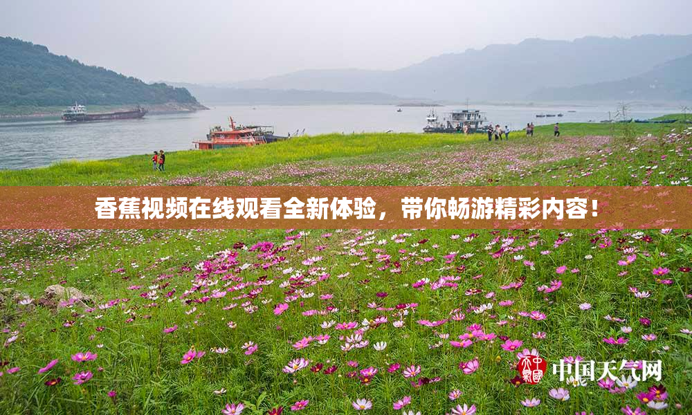香蕉视频在线观看全新体验，带你畅游精彩内容！