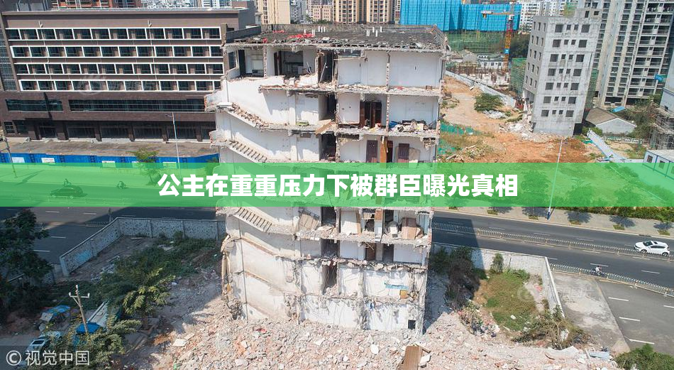 公主在重重压力下被群臣曝光真相