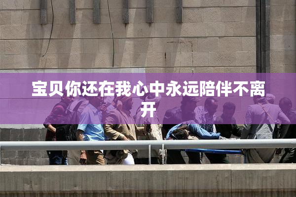 宝贝你还在我心中永远陪伴不离开
