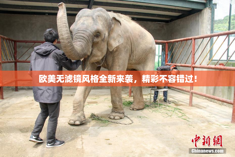 欧美无滤镜风格全新来袭，精彩不容错过！