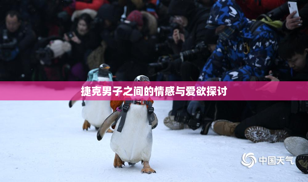 捷克男子之间的情感与爱欲探讨