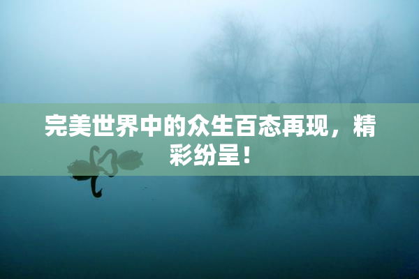 完美世界中的众生百态再现，精彩纷呈！