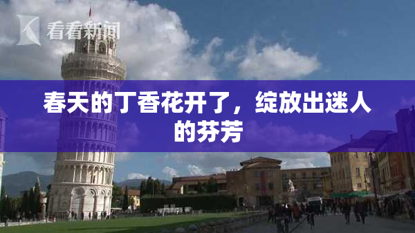 春天的丁香花开了，绽放出迷人的芬芳