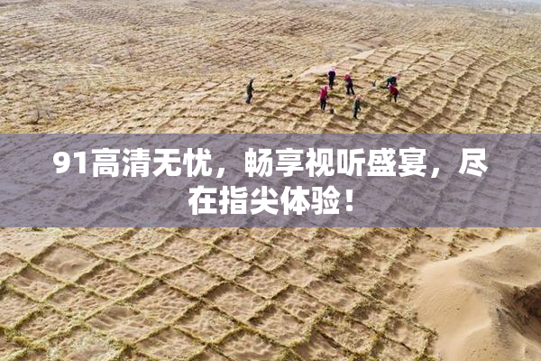 91高清无忧，畅享视听盛宴，尽在指尖体验！