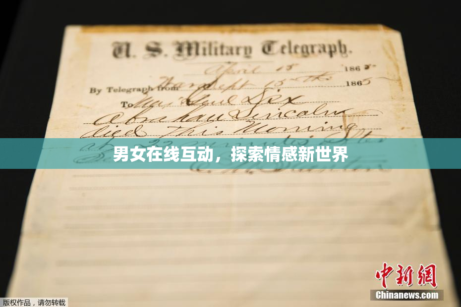 男女在线互动，探索情感新世界