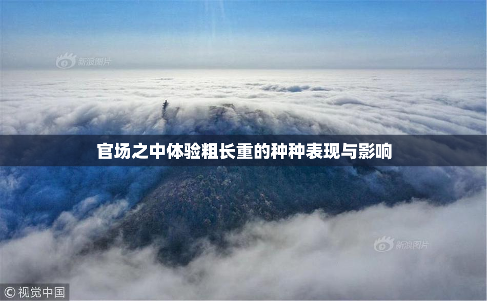 官场之中体验粗长重的种种表现与影响