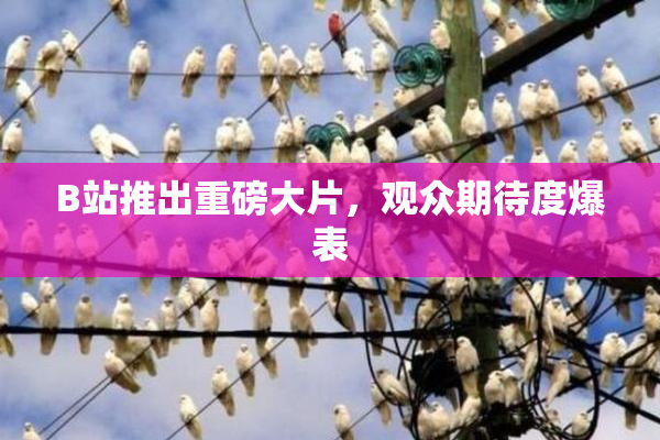 B站推出重磅大片，观众期待度爆表