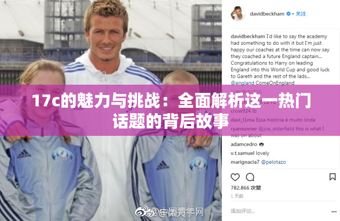17c的魅力与挑战：全面解析这一热门话题的背后故事
