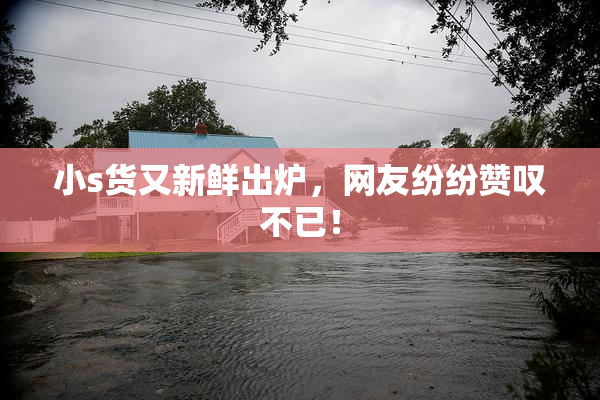 小s货又新鲜出炉，网友纷纷赞叹不已！