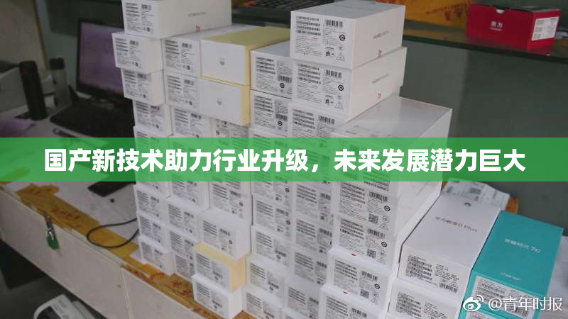国产新技术助力行业升级，未来发展潜力巨大