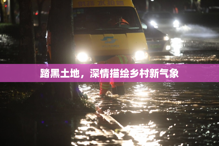 踏黑土地，深情描绘乡村新气象