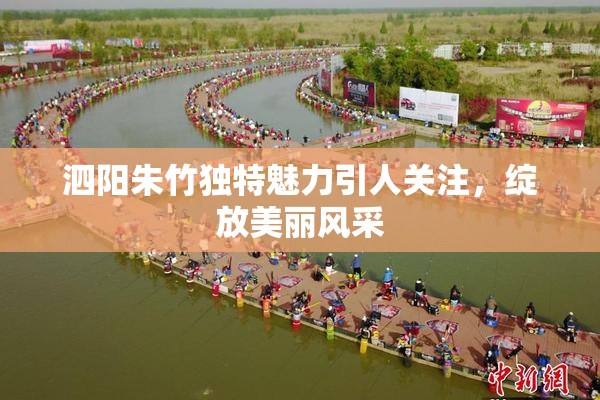 泗阳朱竹独特魅力引人关注，绽放美丽风采