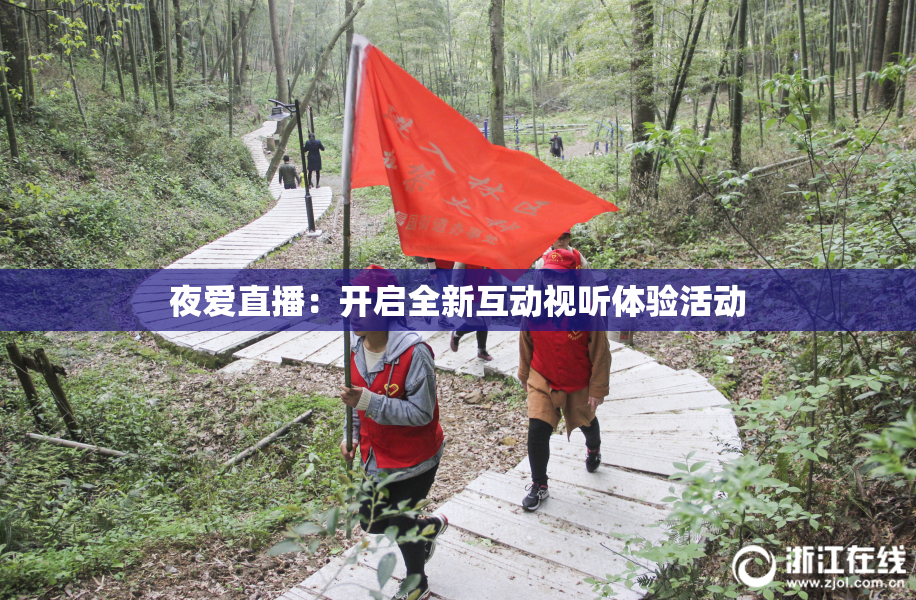 夜爱直播：开启全新互动视听体验活动