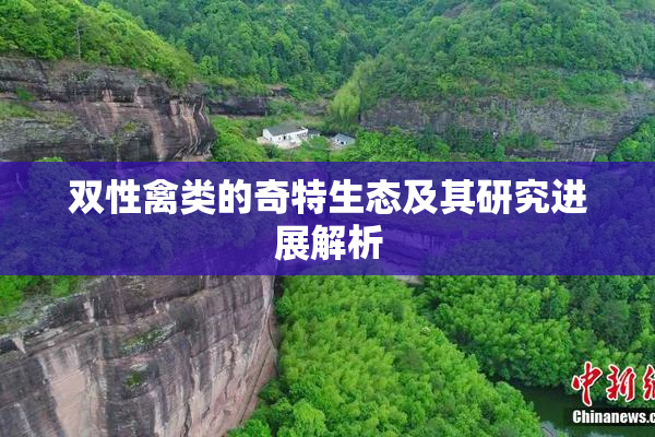 双性禽类的奇特生态及其研究进展解析