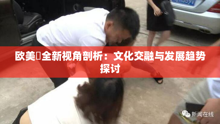 欧美巜全新视角剖析：文化交融与发展趋势探讨