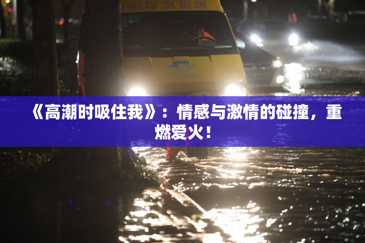 《高潮时吸住我》：情感与激情的碰撞，重燃爱火！