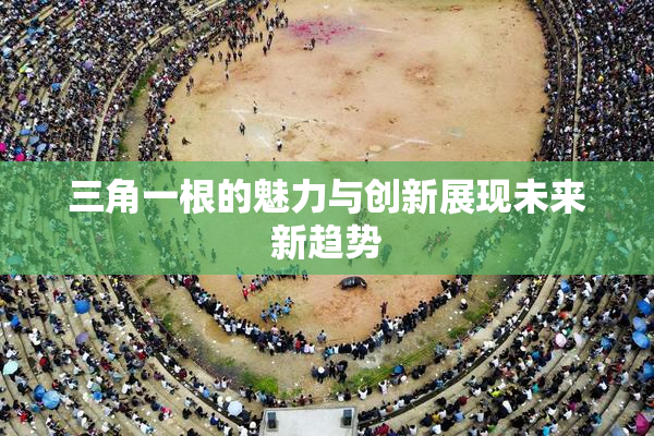 三角一根的魅力与创新展现未来新趋势