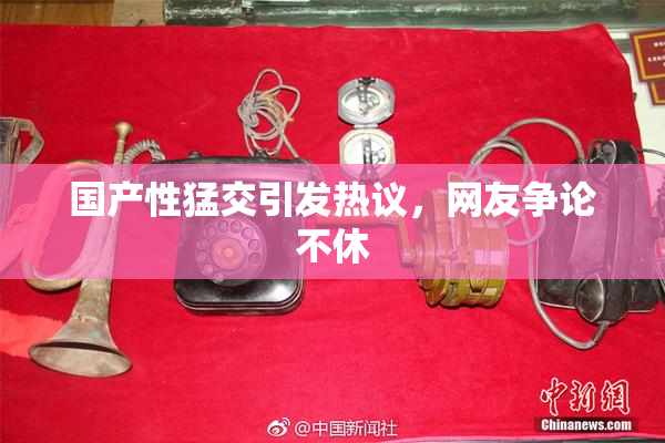 国产性猛交引发热议，网友争论不休