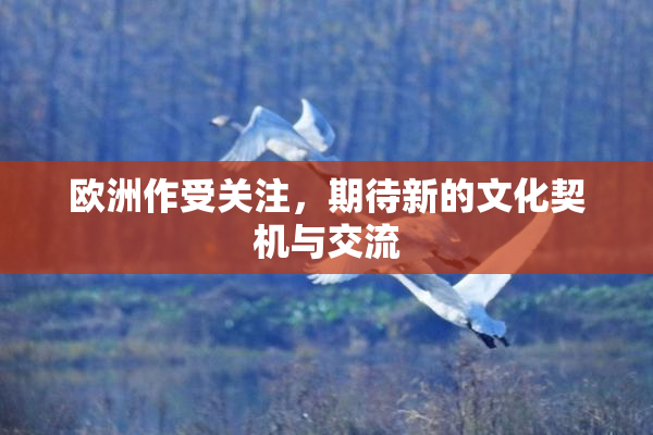 欧洲作受关注，期待新的文化契机与交流