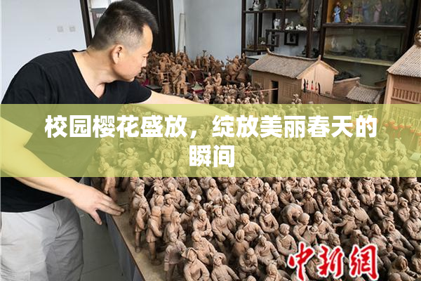 校园樱花盛放，绽放美丽春天的瞬间