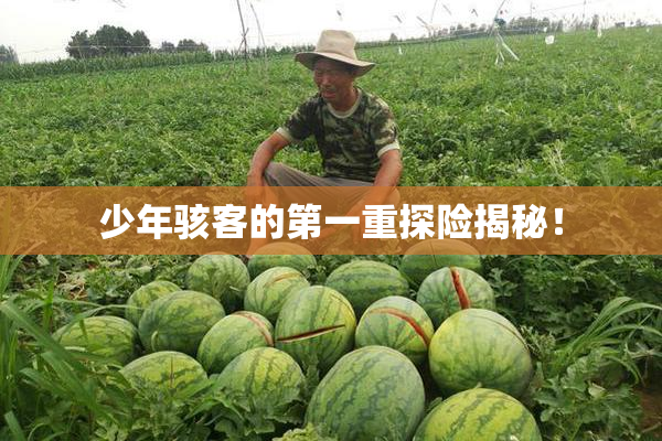 少年骇客的第一重探险揭秘！