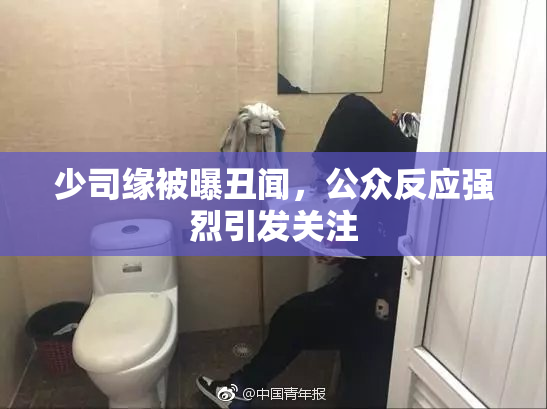 少司缘被曝丑闻，公众反应强烈引发关注