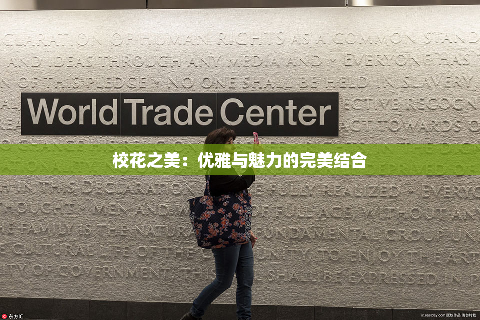 校花之美：优雅与魅力的完美结合