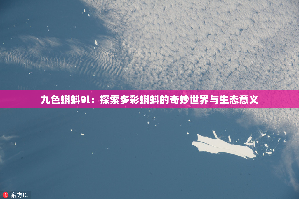 九色蝌蚪9l：探索多彩蝌蚪的奇妙世界与生态意义