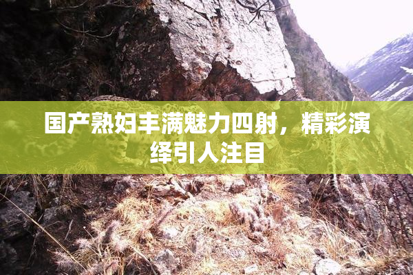 国产熟妇丰满魅力四射，精彩演绎引人注目