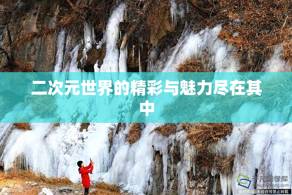 二次元世界的精彩与魅力尽在其中