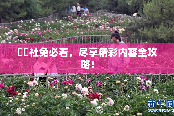 擼擼社免必看，尽享精彩内容全攻略！