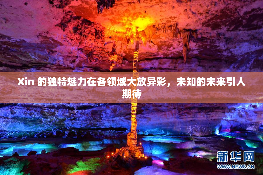 Xin 的独特魅力在各领域大放异彩，未知的未来引人期待
