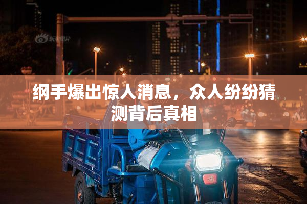 纲手爆出惊人消息，众人纷纷猜测背后真相